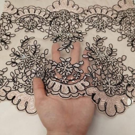مجلسی رنگ 10 