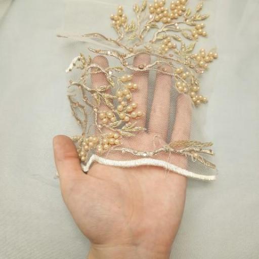 مجلسی رنگ 2 