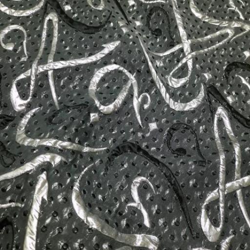 پارچه ژاکارد تافته ترک نگینا رنگ مشکی نقره ای 