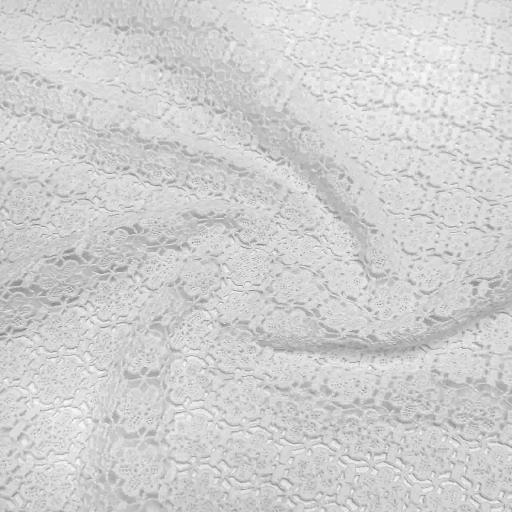 پارچه گیپور کتان کلاسیک رنگ 15 سفید 