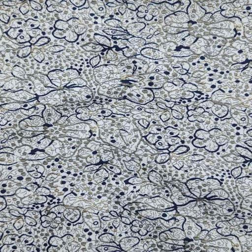 پارچه ژاکارد پنبه لمه 2019 رنگ 102-48 