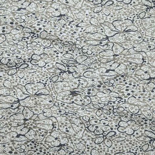 پارچه ژاکارد پنبه لمه 2019 رنگ 102-17 